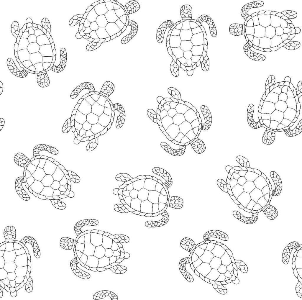 Muchas tortugas en una imagen.