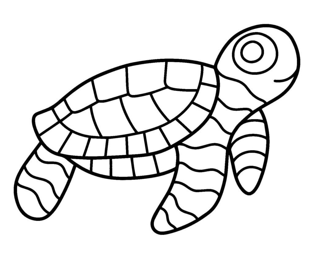 Libro para colorear de tortugas