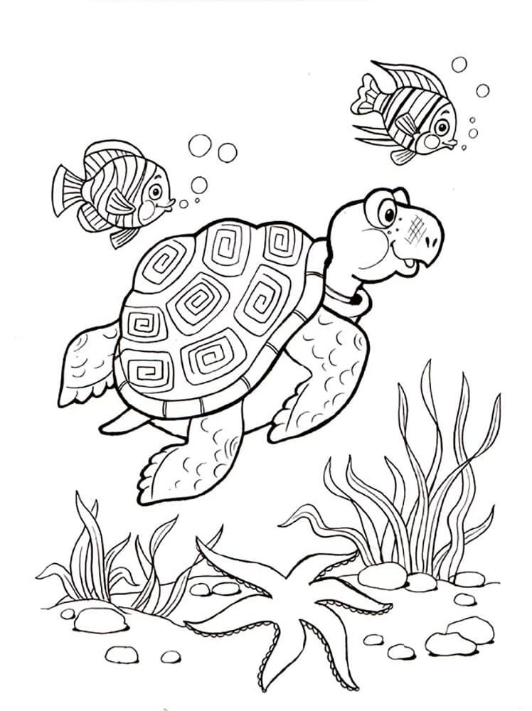 Peces y tortugas bajo el agua.