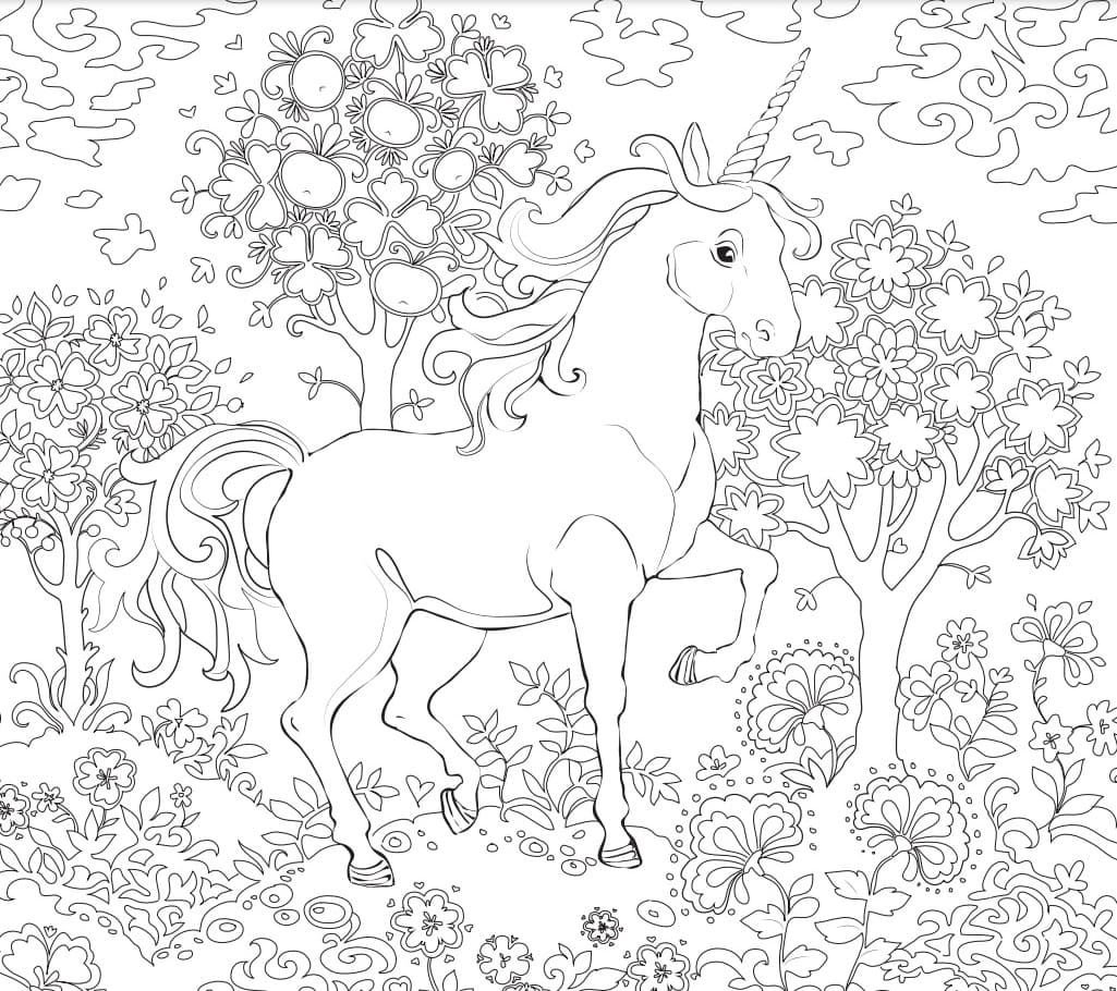 Libro de colorear para adultos con unicornio.