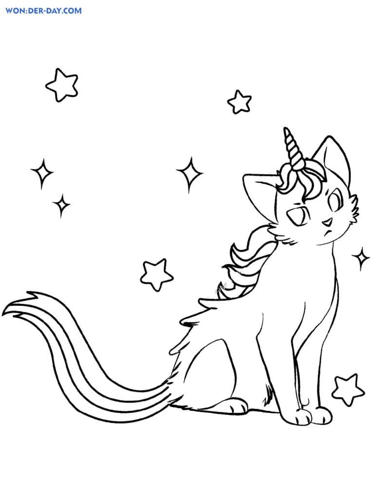 Estrellas y gato unicornio