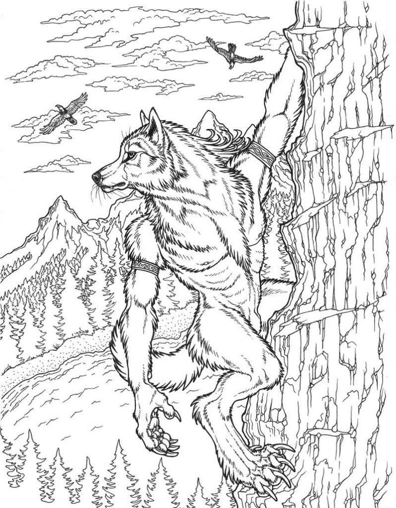 Hombre lobo en una roca